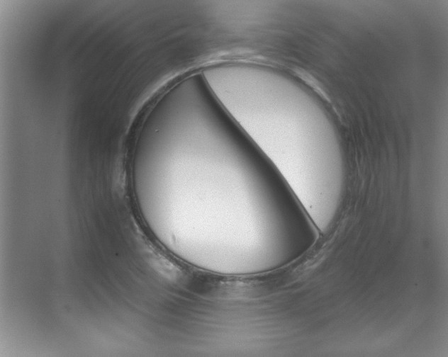 X0000071841458200606301051