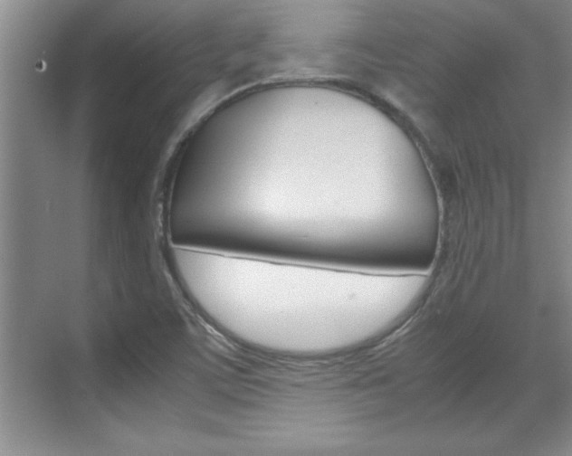 X0000071841459200606301051