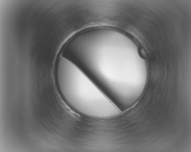 X0000071841460200606301051