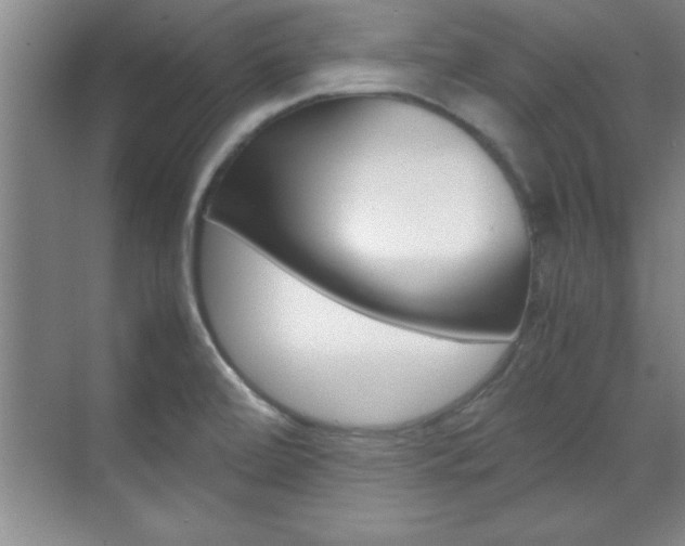 X0000071841472200606301051