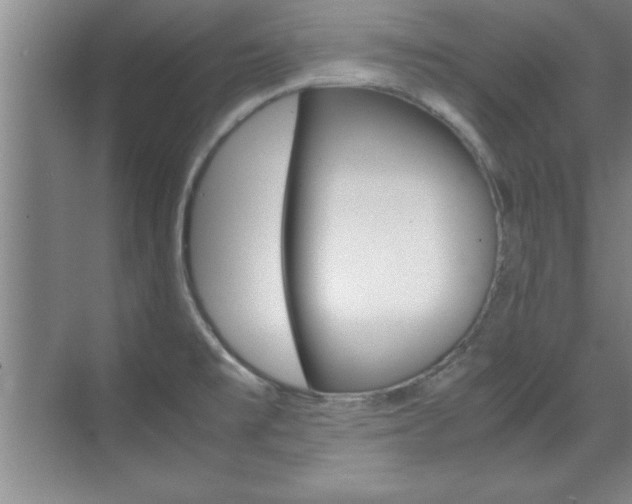 X0000071841477200606301051