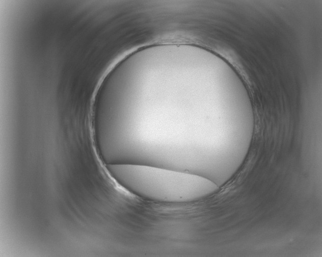 X0000071841486200606301051