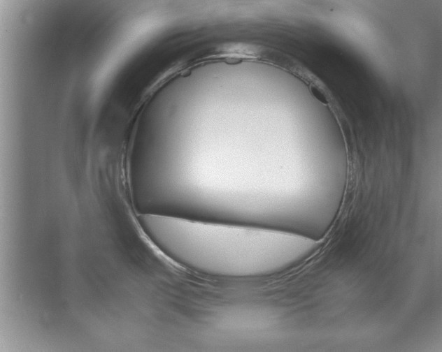 X0000071841487200606301051