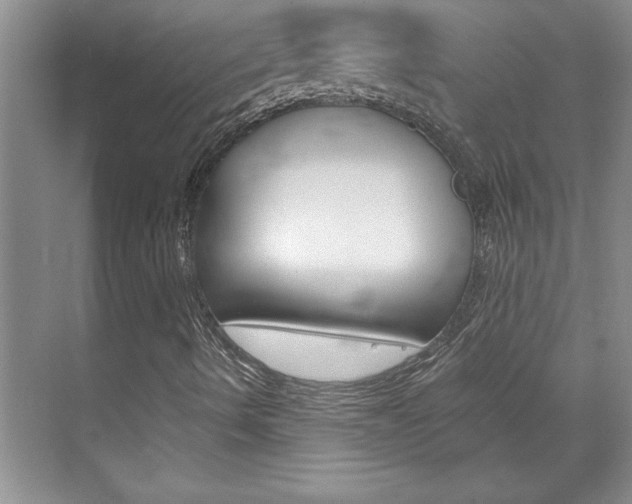 X0000071841490200606301050