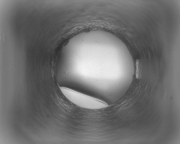 X0000071841491200606301050
