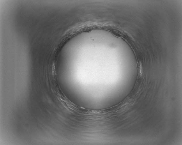 X0000071841492200606301050