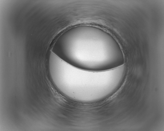 X0000071841497200606301050