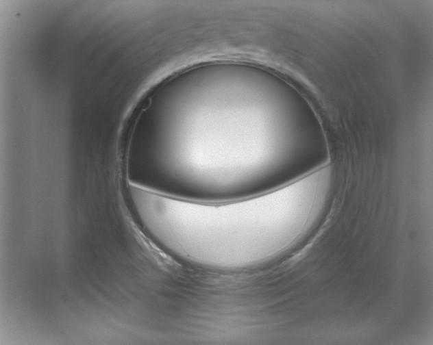 X0000071841506200606301050