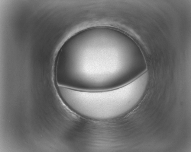 X0000071841512200606301050