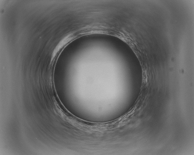 X0000071840004200606301324