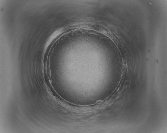 X0000071840006200606301324