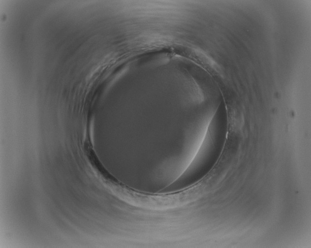 X0000071840027200606301323