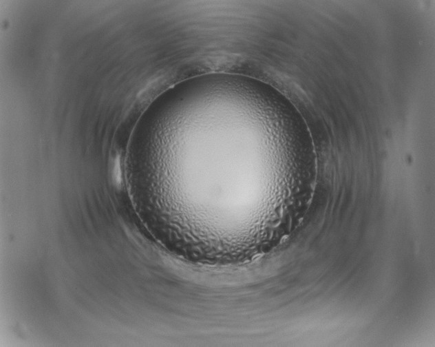 X0000071840042200606301323