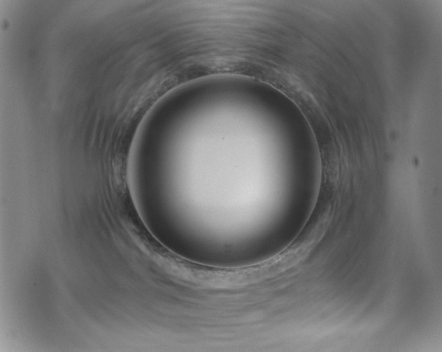 X0000071840044200606301323