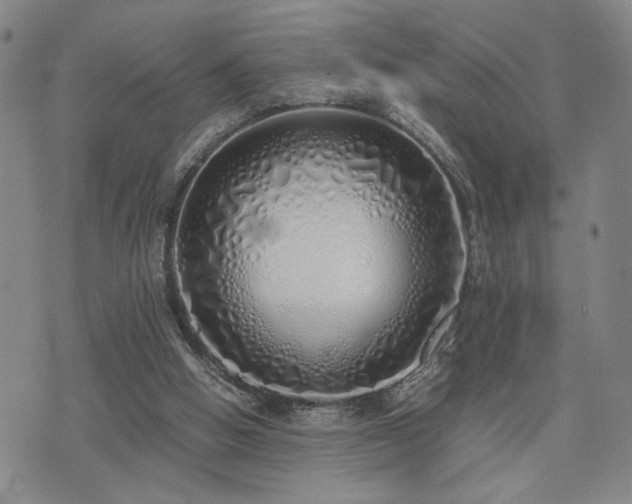 X0000071840058200606301322