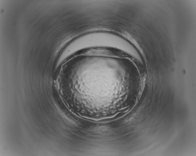 X0000071840063200606301323