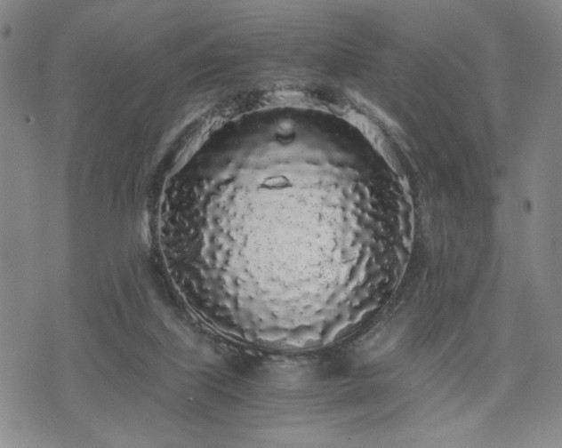 X0000071840067200606301323