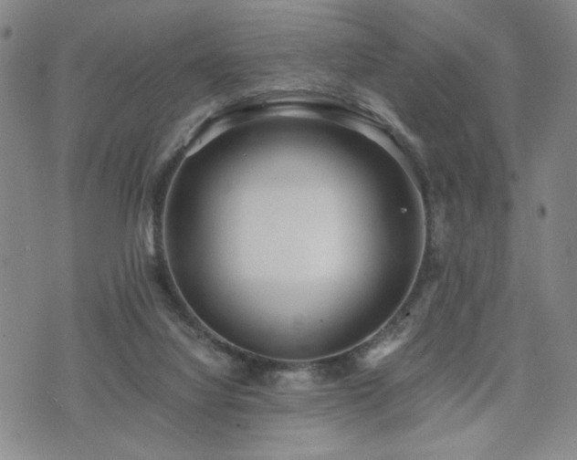 X0000071840068200606301323