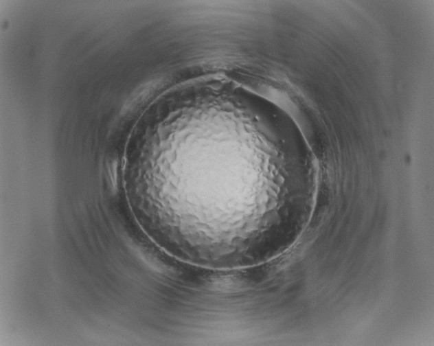 X0000071840070200606301323