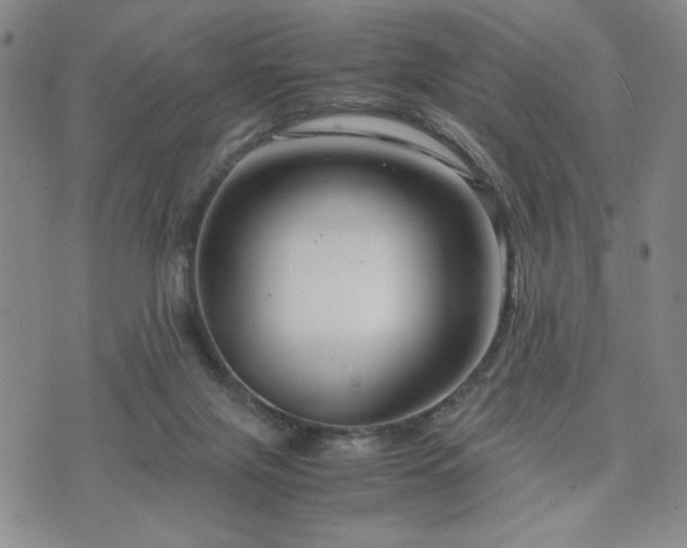 X0000071840071200606301323