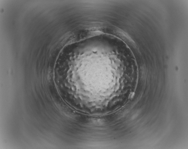 X0000071840073200606301323