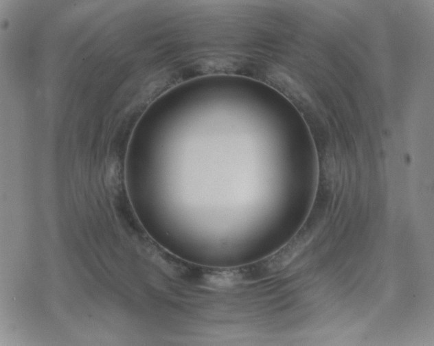 X0000071840079200606301323