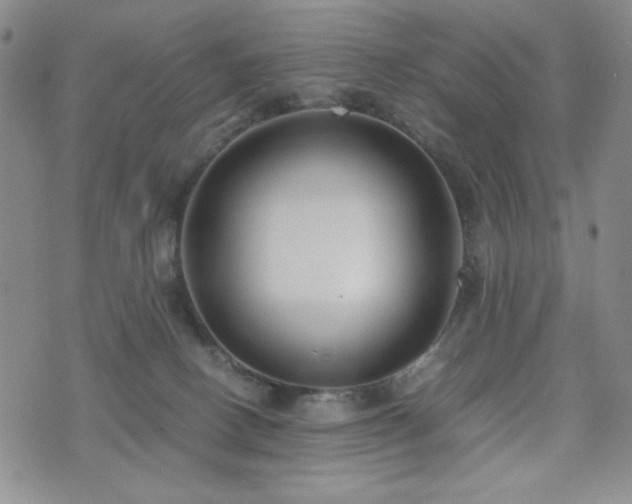 X0000071840082200606301323