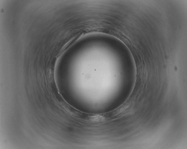 X0000071840087200606301323