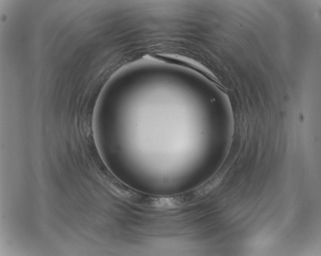 X0000071840091200606301323