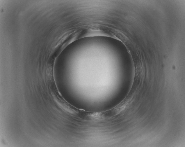 X0000071840092200606301323
