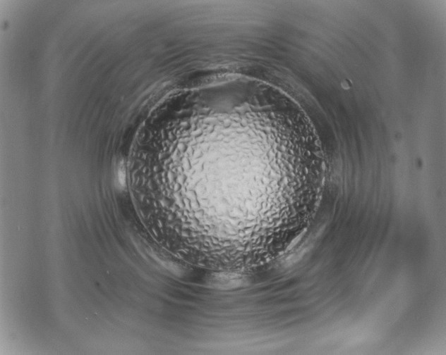 X0000071840095200606301323