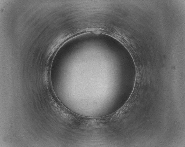 X0000071840098200606301322