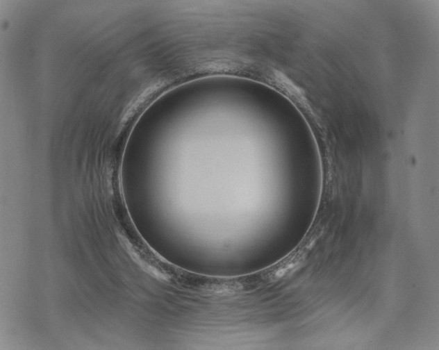 X0000071840106200606301322