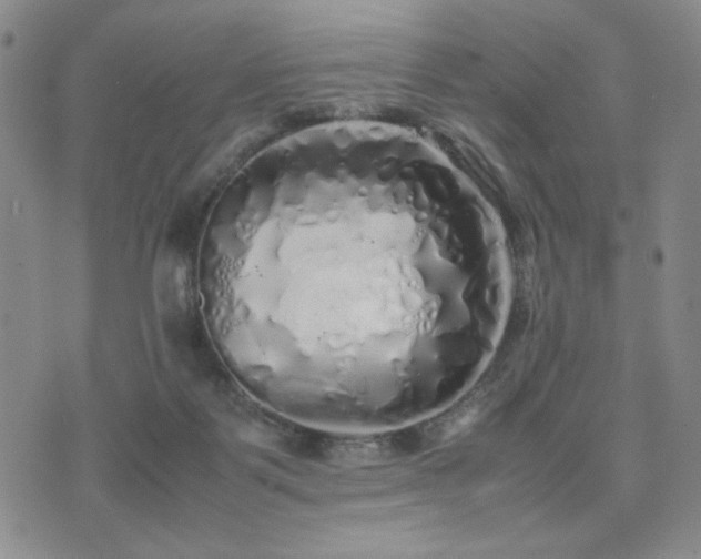 X0000071840123200606301322