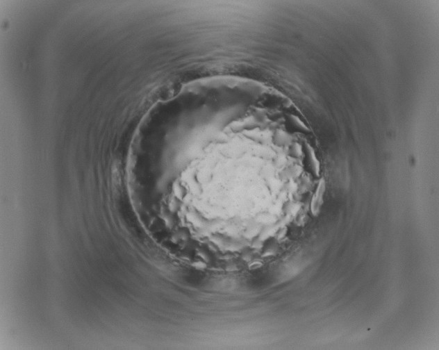 X0000071840127200606301322