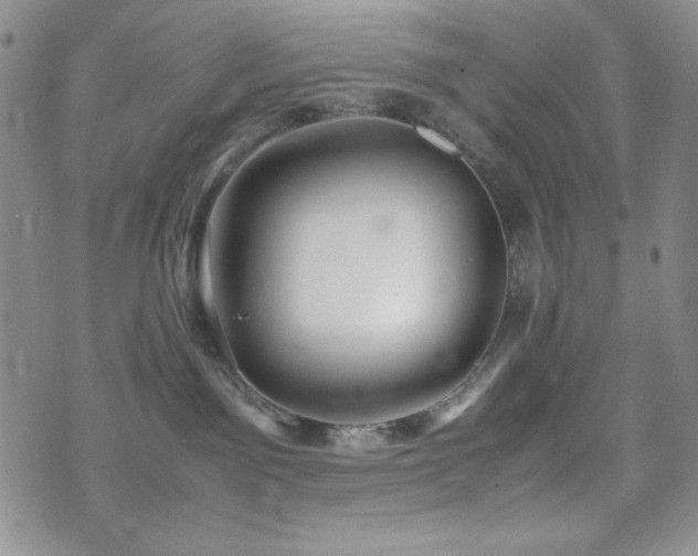 X0000071840141200606301322