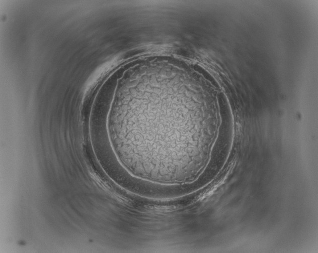 X0000071840149200606301321