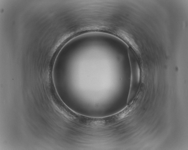 X0000071840156200606301321