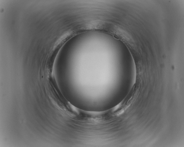 X0000071840164200606301321