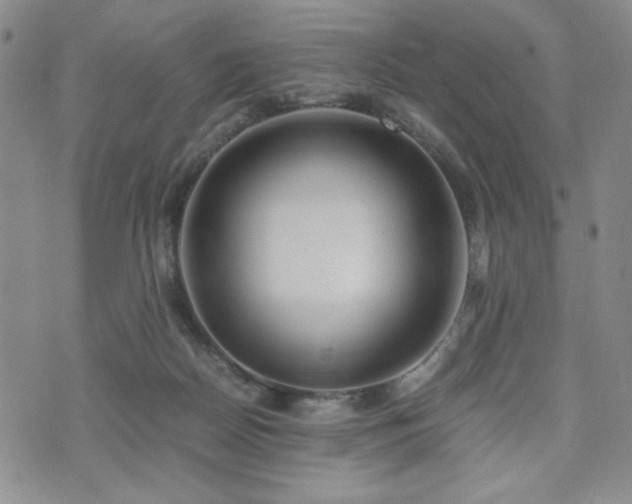 X0000071840170200606301321