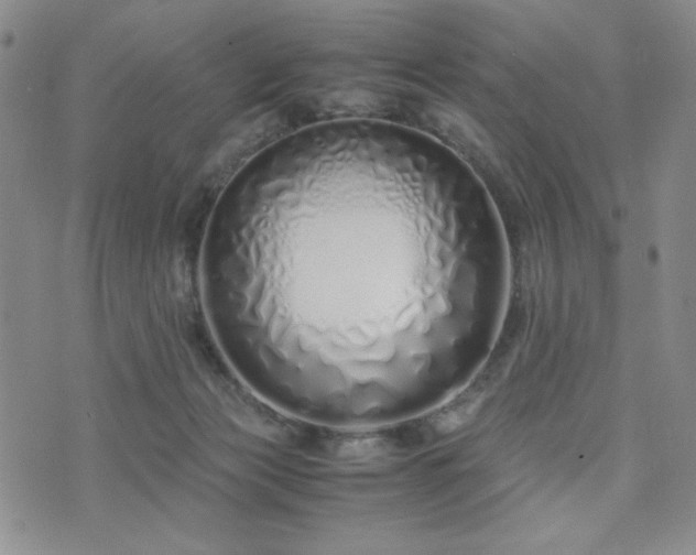 X0000071840173200606301321