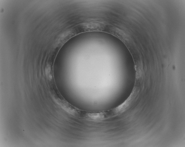 X0000071840187200606301321