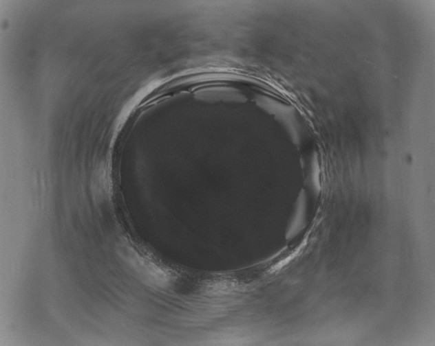 X0000071840200200606301321