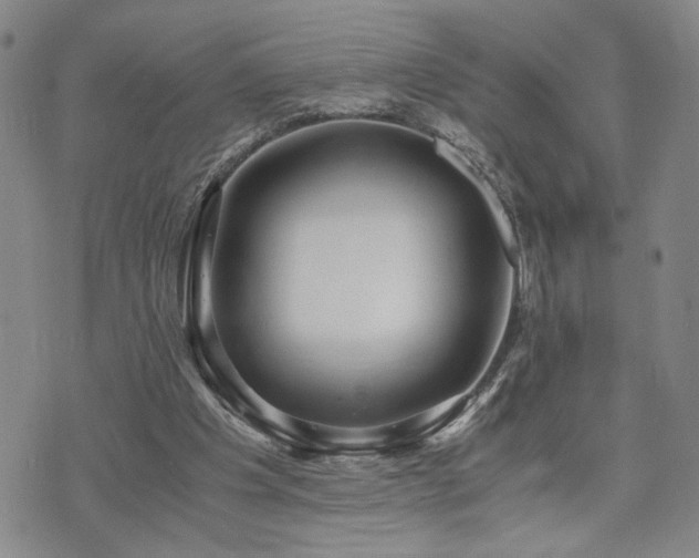 X0000071840201200606301321