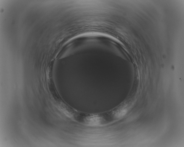X0000071840219200606301320