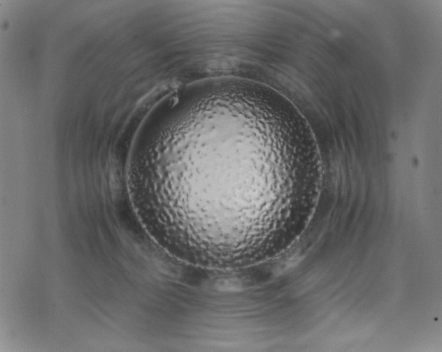 X0000071840228200606301320