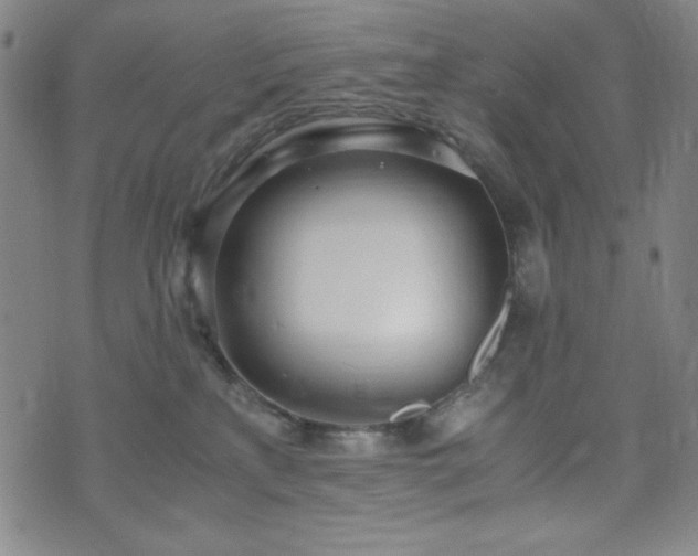 X0000071840233200606301320