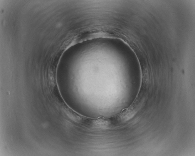 X0000071840234200606301320