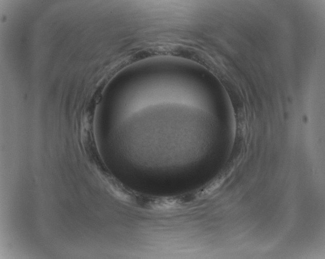 X0000071840235200606301320