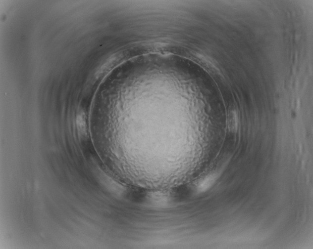 X0000071840238200606301320